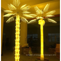 Luz da palmeira de coco